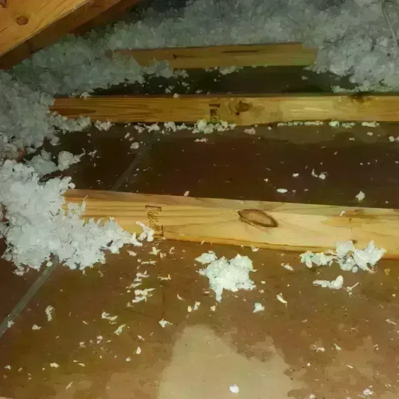 Attic Water Damage in Shaw Heights, CO